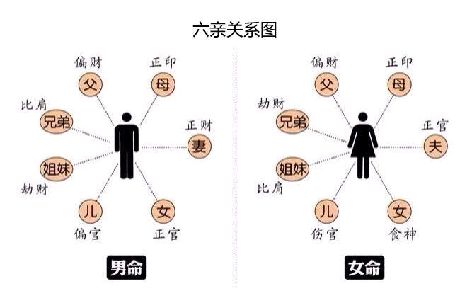 男木命女木命的婚姻图片