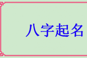 婴儿起名字生辰八字起名免费打分