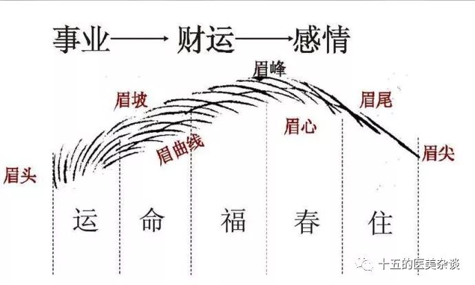 面相学额头如何看一个人的“额头”，在我国的面相