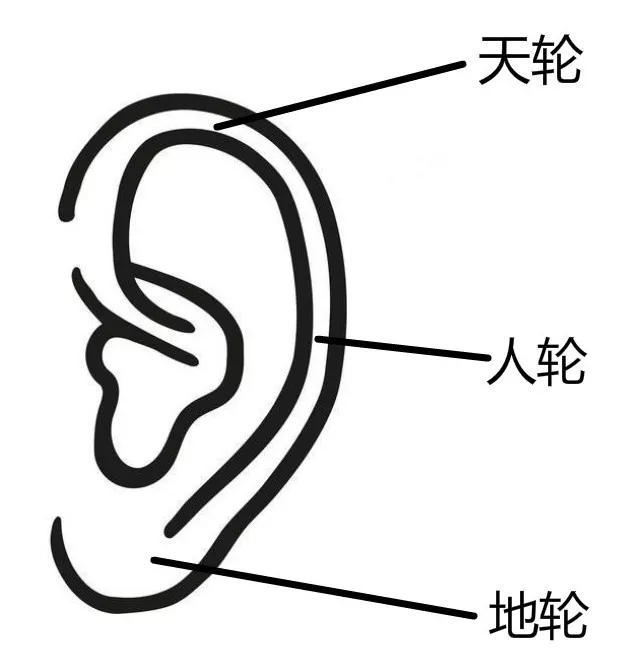 哪一种耳相耳相能够富贵吉祥，有你吗？