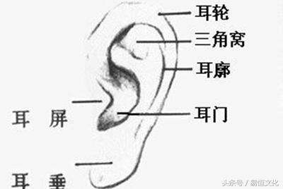 耳朵面相：从耳朵形状看命运，看一下你的智商和寿命