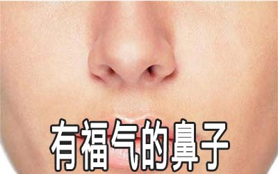 鼻孔相学 在鼻子中什么鼻子是最有福气的？看看你是否是其中有福气
