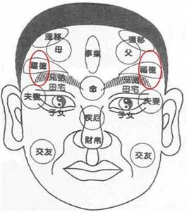 面相十二宫指的人体的十二个部位，如何通过十二宫判断命运吉凶