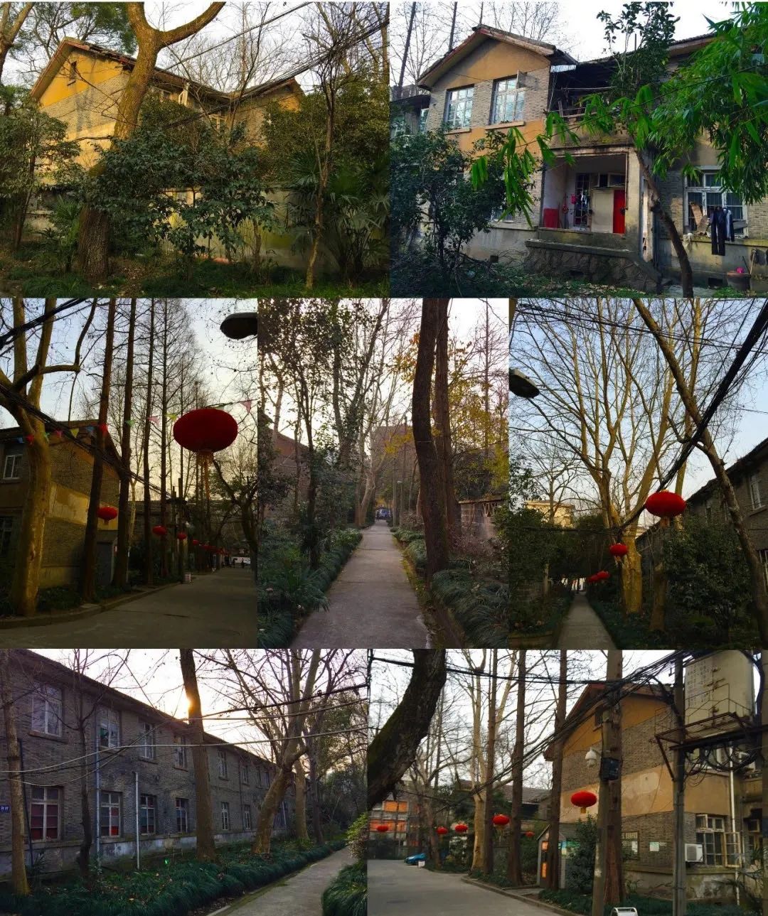 好消息！杭大新村将被列为杭州市历史文化街区！
