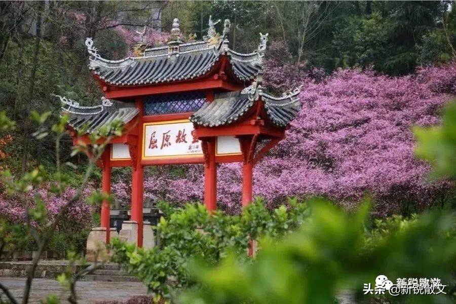 秭归民俗 陆游坐的蜀船不是大肚子官船而是屈原祠