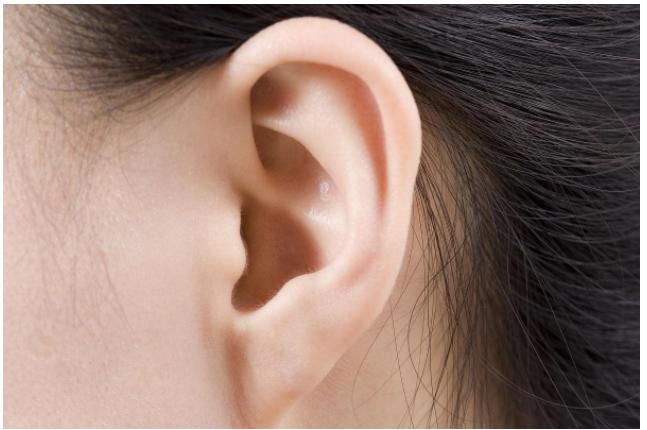 （seo导航）怎么看大耳朵的女人面相？拥有