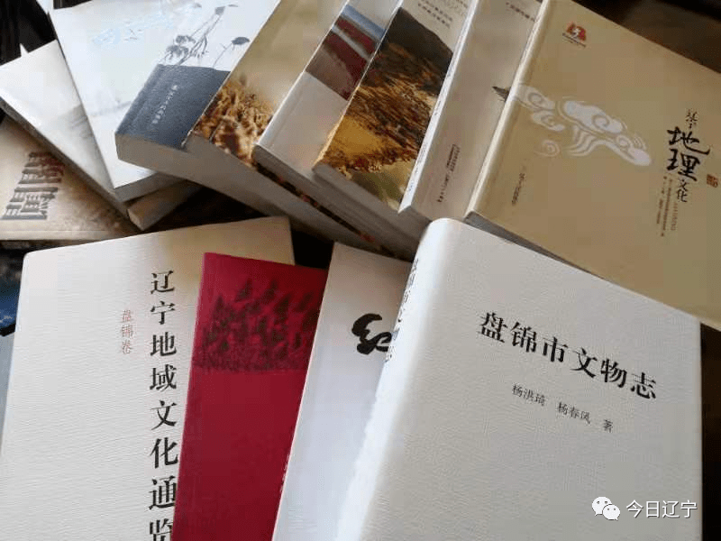 辽河口文化摆渡人杨春风职业作家2019年被评选为“辽宁省最佳写书人”