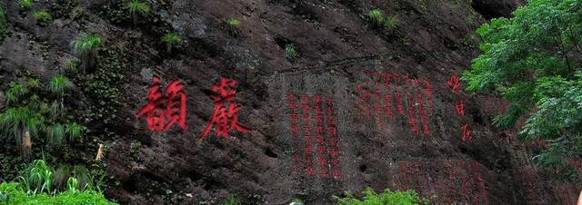 武夷山产茶历史悠久，生态环境非常适宜茶树生长