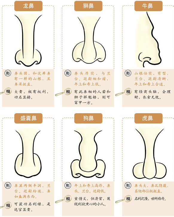 面相中最有福气的7种鼻子，有你吗？