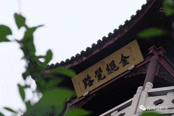苏州枫桥寒山寺为什么会被遗弃？原因是什么？