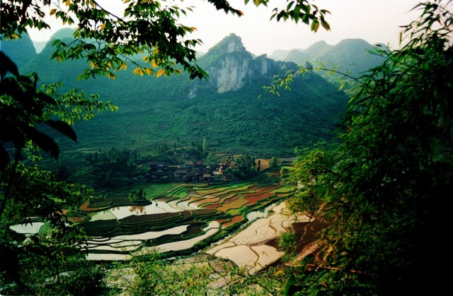 行走在荔波的山水间，除了“抬头张家界，低头九寨沟”