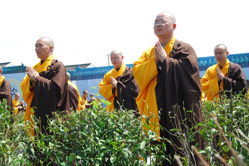 佛教对茶文化事业的贡献在历史上，其贡献是多方面