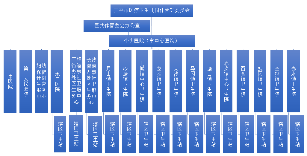 聚焦“医防融合，构建强大的公共卫生体系”