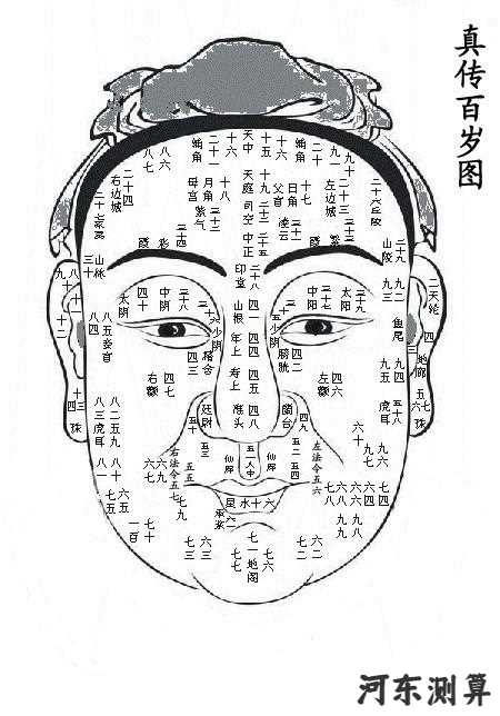 （李向东）看面相专用语面部科学的特殊术语和概念