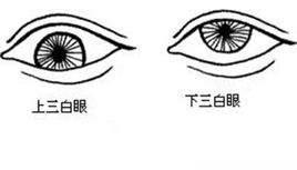 你真的知道丹凤眼是什么眼睛吗？9种眼型